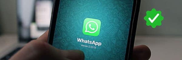 What is WhatsApp Green Tick